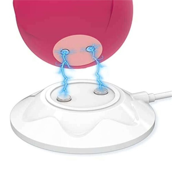 Rose Toy Charger - Universal Replacement Charging Cable - Image 3
