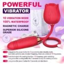 Rose Vibrator 2 in 1 Rose Toy With A Thrusting Dildo