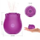 Purple Rose Toy: Where Elegance Meets Pleasure.